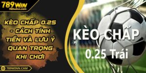 Kèo Chấp 0.25 - Cách Tính Tiền Và Lưu Ý Quan Trọng Khi Chơi