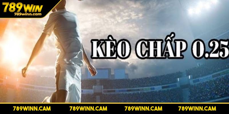 Kèo Chấp 0.25 - Cách Tính Tiền Và Lưu Ý Quan Trọng Khi Chơi 2 Ăn theo tỷ lệ cược trong kèo 0.25