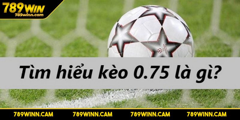 Kèo Chấp 0.75 - Cách Chơi, Chiến Thuật Và Mẹo Cược Hiệu Quả 2 Cửa dưới thắng hoặc hòa