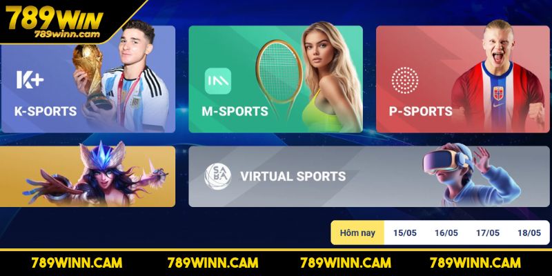 Sơ lược sảnh cược thể thao